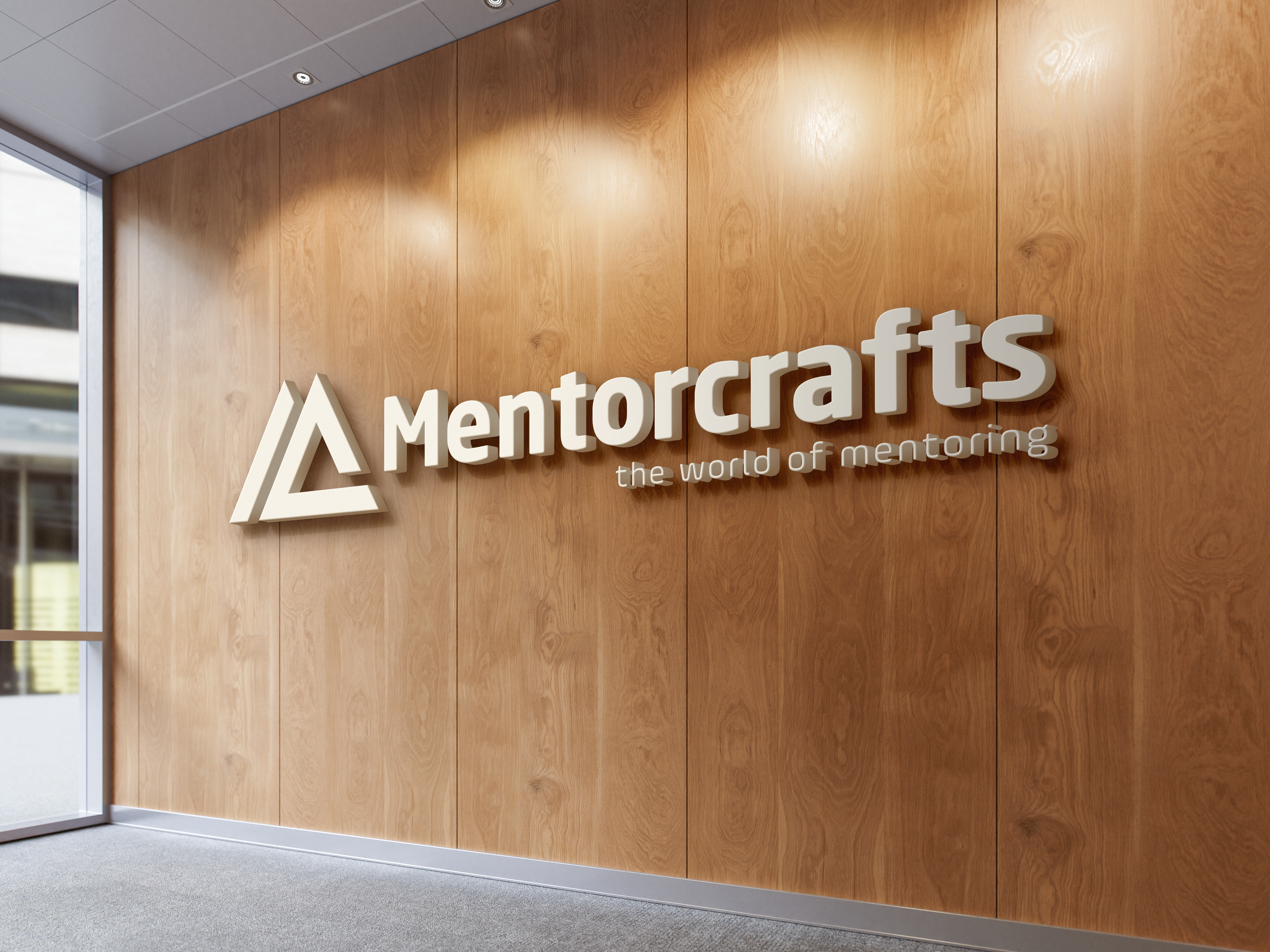 Mentorcrafts ERP Background